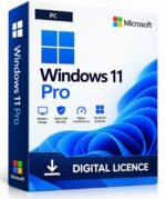 Windows 11 Pro